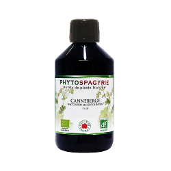 Canneberge - Bio* - 300 ml - Phytospagyrie - Extrait de plante - Vecteur Energy