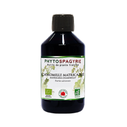 Camomille matricaire - Bio* - 300 ml - Phytospagyrie - Extrait de plante - Vecteur Energy