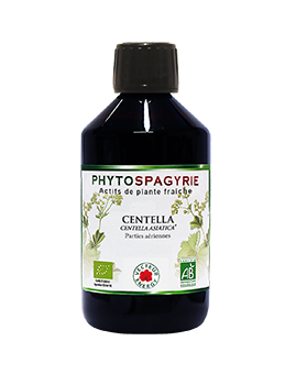 Centella - Bio* - 300 ml - Phytospagyrie - Extrait de plante - Vecteur Energy