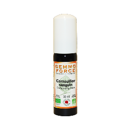 GemmoForce Cornouiller sanguin - sans sucre - sans alcool - Bio* - 30 ml - Gemmothrapie - Vecteur Energy