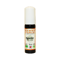 GemmoForce Eglantier - sans sucre - sans alcool - Bio - 30 ml - Gemmothrapie - Vecteur Energy