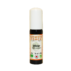 GemmoForce Olivier - sans sucre - sans alcool - Bio - 30 ml - Gemmothrapie - Vecteur Energy