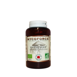Hypsizygus- 180 glules - Bio* - Mycoforce - Poudre de champignon - Vecteur Energy