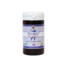 SILICASSIS - 60 Glules - Bio* - Silicium - Vecteur Energy