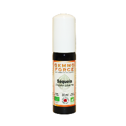 GemmoForce Squoia - sans sucre - sans alcool - Bio - 30 ml - Gemmothrapie - Vecteur Energy
