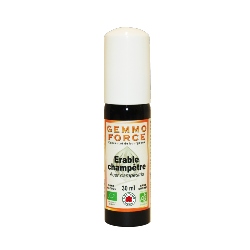 GemmoForce Erable Champtre - sans sucre - sans alcool - Bio - 30 ml - Gemmothrapie - Vecteur Energy