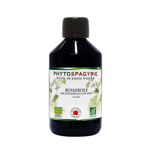 Busserole - Bio* - 300 ml - Phytospagyrie - Extrait de plante - Vecteur Energy