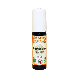 GemmoForce Framboisier - sans sucre - sans alcool - Bio - 30 ml - Gemmothrapie - Vecteur Energy