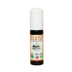 GemmoForce Noyer - sans sucre - sans alcool - Bio - 30 ml - Gemmothrapie - Vecteur Energy
