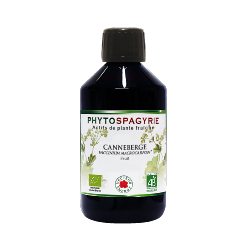 Canneberge - Bio* - 300 ml - Phytospagyrie - Extrait de plante - Vecteur Energy