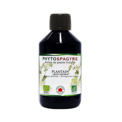 Plantain - 300 ml - Phytospagyrie - Extrait de plante biologique* - Vecteur Energy