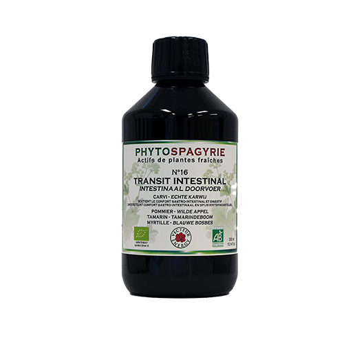 Phytospagyrie N°16 Transit intestinal - Bio* - 300 ml - Synergie de plantes biologiques* - Vecteur Energy