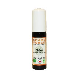 GemmoForce Chêne - sans sucre - sans alcool - Bio - 30 ml - Gemmothérapie - Vecteur Energy