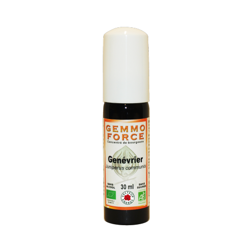 GemmoForce Genévrier - sans sucre - sans alcool - Bio - 30 ml - Gemmothérapie - Vecteur Energy