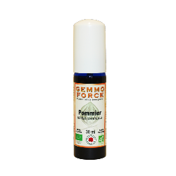 GemmoForce Pommier - sans sucre - sans alcool - Bio - 30 ml - Gemmothrapie - Vecteur Energy