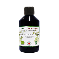 Vergerette du Canada - 300 ml - Phytospagyrie - Extrait de plante biologique* - Vecteur Energy