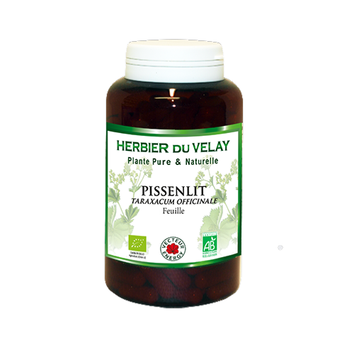 Pissenlit Feuille - Bio* - 180 gélules de plante - Phytothérapie - Vecteur Energy