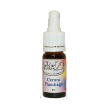 ELIX'F - Plumbago / Cerato N°5 - 10 ml - Elixir floral - Fleur de Bach - Vecteur Energy