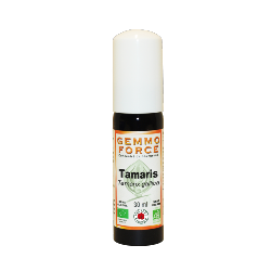 GemmoForce Tamaris - sans sucre - sans alcool - Bio - 30 ml - Gemmothérapie - Vecteur Energy