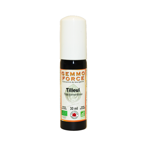 GemmoForce Tilleul - sans sucre - sans alcool - Bio - 30 ml - Gemmothérapie - Vecteur Energy
