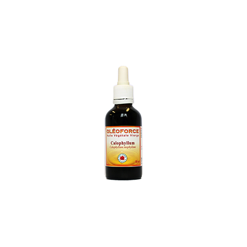 Huile végétale Calophyllum - 50 ml - Vecteur Energy