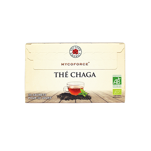 Thé Chaga Bio* - 30 sachets - Mycothérapie - Vecteur Energy
