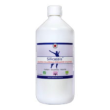 SILICASSIS - Bio* - 1 litre - Silicium  - Vecteur Energy