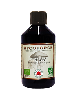 Chaga - 300 ml - Bio* - MYCOFORCE