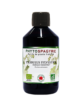 Tribulus - 300 ml - Phytospagyrie - Extrait de plante biologique* - Vecteur Energy