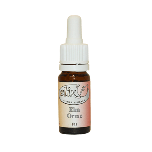 ELIX'F N°11 - Orme / Elm - 10 ml - Elixir floral - Fleur de Bach - Vecteur Energy