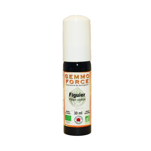 GemmoForce Figuier - sans sucre - sans alcool - Bio - 30 ml - Gemmothérapie - Vecteur Energy