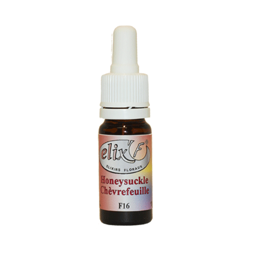 ELIX'F - Chèvrefeuille / Honeysuckle N°16 - 10 ml - Elixir floral - Fleur de Bach - Vecteur Energy