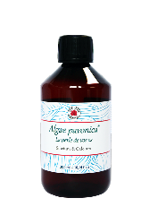 Algae padina pavonica - 300 ml - Algothérapie - Vecteur Energy