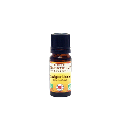 Eucalyptus globuleux huile essentielle Bio - Vecteur Energy
