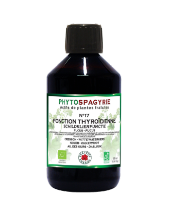 Phytospagyrie N°17 Fonction thyroïdienne - Bio* - 300 ml - Synergie de plantes biologiques* - Vecteur Energy