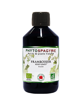 Framboisier - Bio* - 300 ml - Vecteur Energy