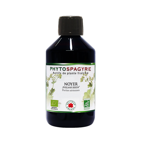 Noyer - 300 ml - Phytospagyrie - Extrait de plante biologique* - Vecteur Energy