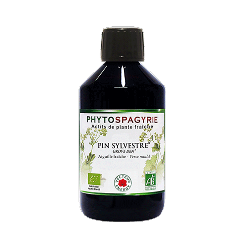 Pin sylvestre Aiguilles - 300 ml - Phytospagyrie - Extrait de plante biologique* - Vecteur Energy