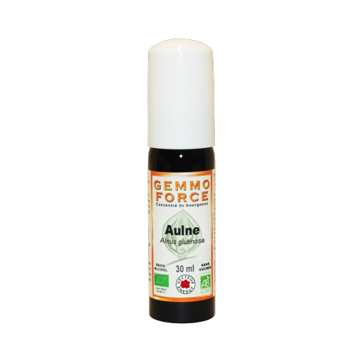 GemmoForce Aulne - sans sucre - sans alcool - Bio - 30 ml - Gemmothérapie - Vecteur Energy