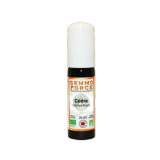 GemmoForce Cèdre - sans sucre - sans alcool - Bio* - 30 ml - Gemmothérapie - Vecteur Energy