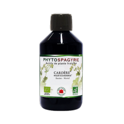 Cardère - Bio* - 300 ml - Phytospagyrie - Extrait de plante - Vecteur Energy