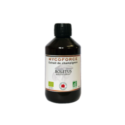 Boletus- 300 ml - Bio* - Mycoforce - Extrait de champignon - Vecteur Energy