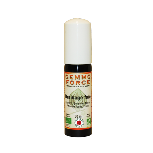 GemmoForce Complexe N°04 - Drainage Foie - sans alcool - Bio - 30 ml - Gemmothérapie - Vecteur Energy