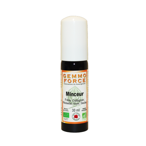 GemmoForce Complexe N°10 - Minceur - sans alcool - Bio - 30 ml - Gemmothérapie - Vecteur Energy