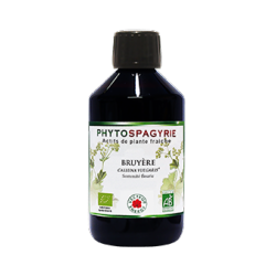 Bruyère - Bio* - 300 ml - Phytospagyrie - Extrait de plante - Vecteur Energy