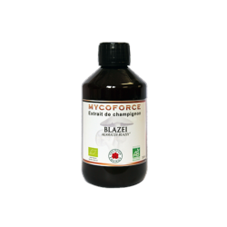 Blazei- 300 ml - Bio* - Mycoforce - Extrait de champignon - Vecteur Energy