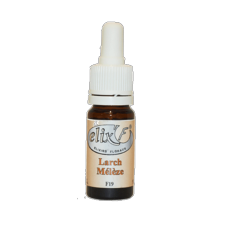 ELIX'F - Mélèze / Larch N°19 - 10 ml - Elixir floral - Fleur de Bach - Vecteur Energy