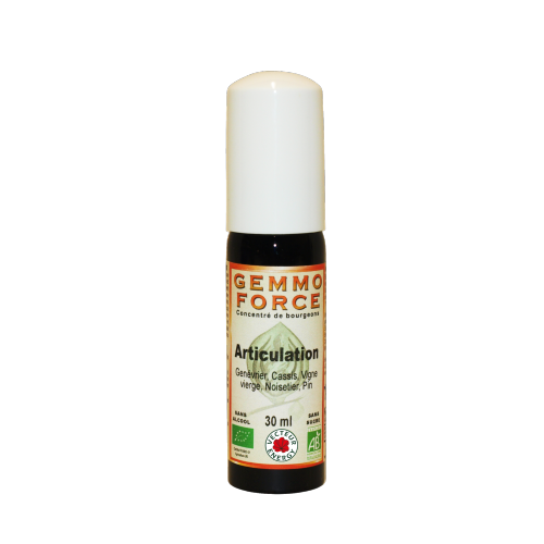 GemmoForce Complexe N°02 - Articulation - sans alcool - Bio - 30 ml - Gemmothérapie - Vecteur Energy