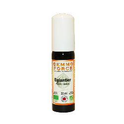 GemmoForce Eglantier - sans sucre - sans alcool - Bio - 30 ml - Gemmothrapie - Vecteur Energy