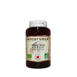 Boletus- 180 glules - Bio* - Mycoforce - Poudre de champignon - Vecteur Energy